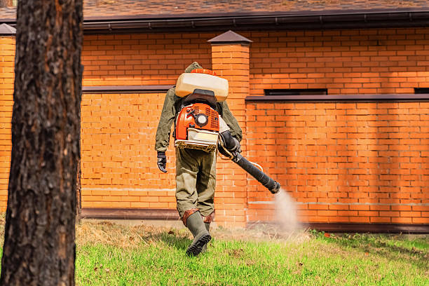 Top rated local Fumigation Services specialists in Penryn, CA